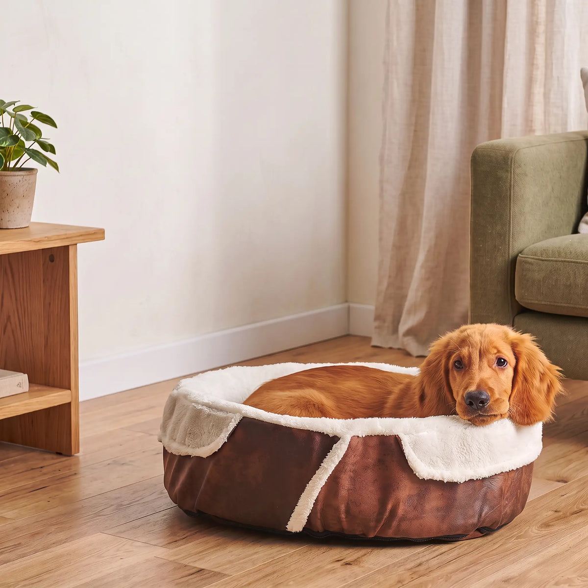 Baw Pet Bed in Brown: puppy resting on the plush lining - Magalis Egypt