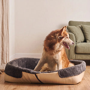 Baw Pet Bed in Beige: large dog sitting in the bed - Magalis Egypt