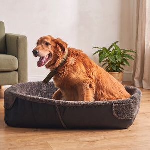 Baw Pet Bed in Black: golden retriever sitting in the bed - Magalis Egypt