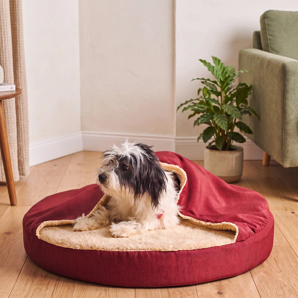 Pet Cave Bed in Maroon: small fluffy dog on the plush base - Magalis Egypt