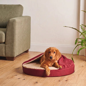 Pet Cave Bed in Maroon: puppy lying under the cave cover - Magalis Egypt