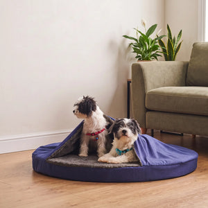 Pet Cave Bed in Blue: two small dogs sharing the bed - Magalis Egypt